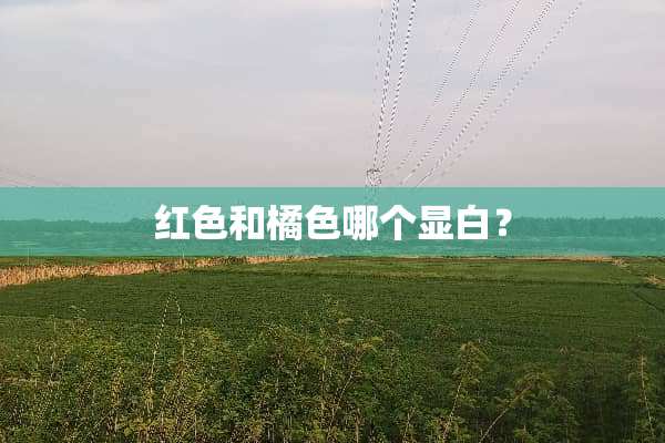 红色和橘色哪个显白？