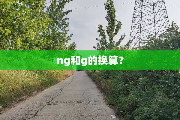 ng和g的换算？
