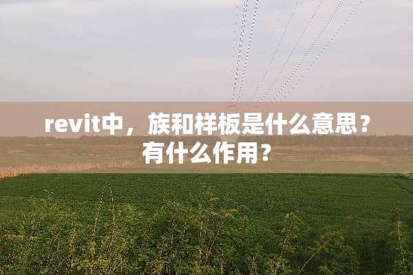 revit中，族和样板是什么意思？有什么作用？