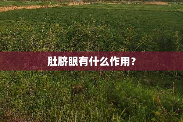 肚脐眼有什么作用？