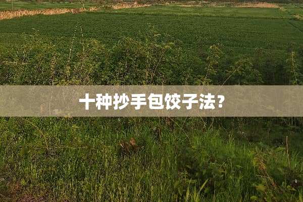 十种抄手包饺子法？