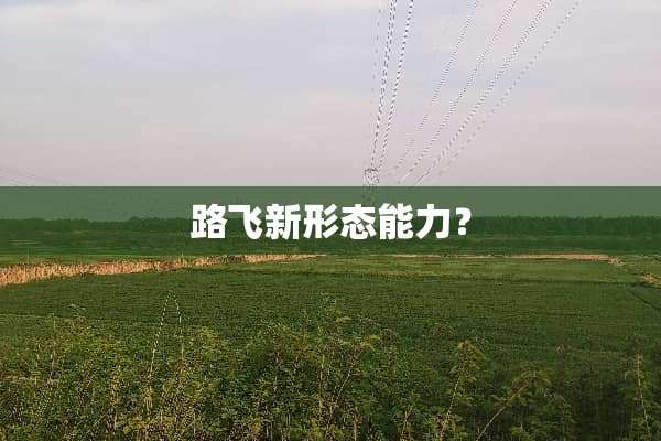 路飞新形态能力？