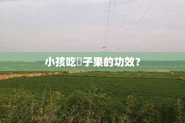 小孩吃棯子果的功效？