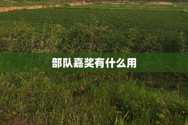 **嘉奖有什么用