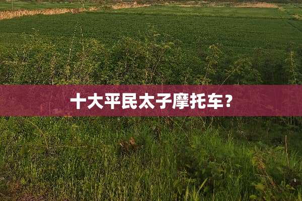 十大平民太子摩托车？