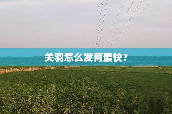 关羽怎么发育最快？