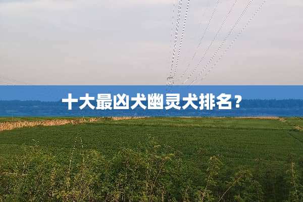 十大最凶犬幽灵犬排名？