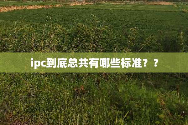 ipc到底总共有哪些标准？？