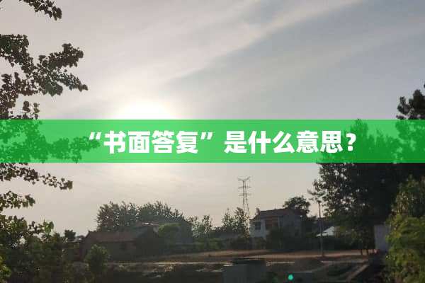 “书面答复”是什么意思？