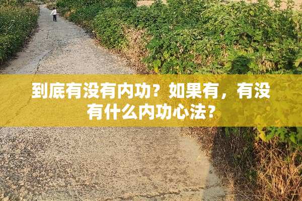 到底有没有内功？如果有，有没有什么内功心法？