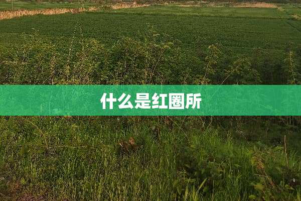 什么是红圈所