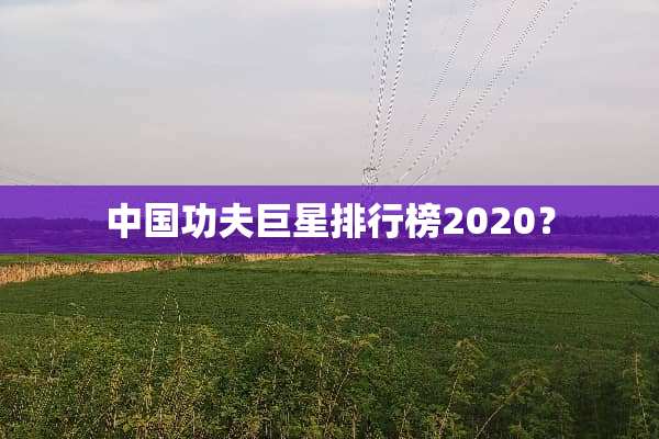 中国功夫巨星排行榜2020？