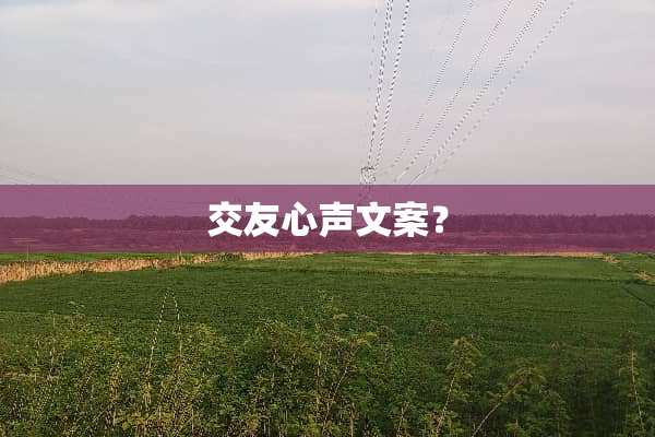 交友心声文案？