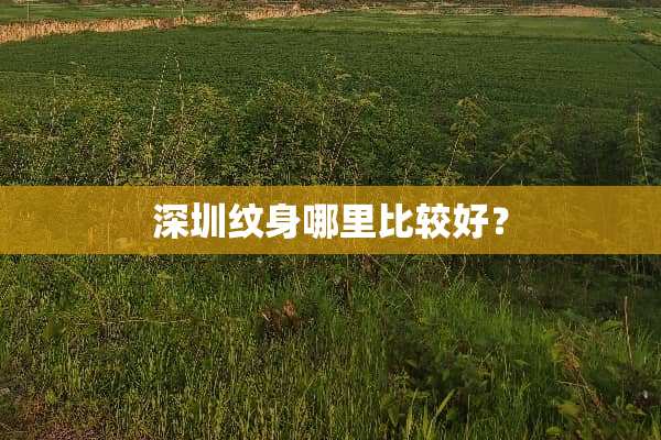 深圳纹身哪里比较好？