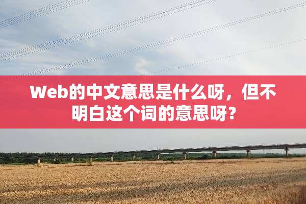 Web的中文意思是什么呀，但不明白这个词的意思呀？