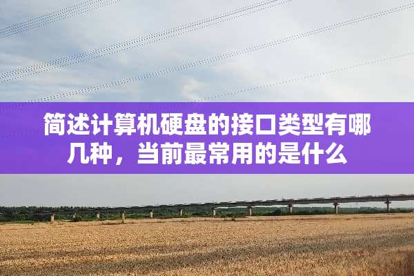 简述计算机硬盘的接口类型有哪几种，当前最常用的是什么
