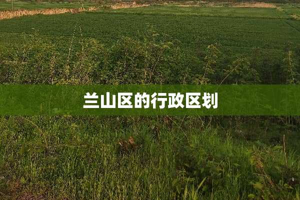 兰山区的行政区划