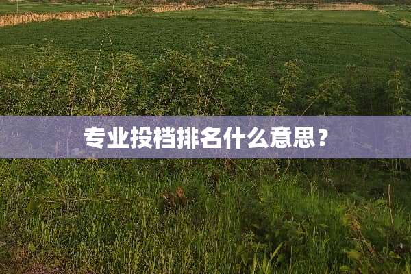 专业投档排名什么意思？