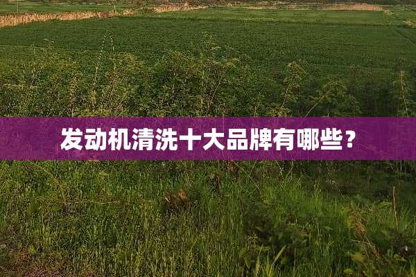 发动机清洗十大品牌有哪些？