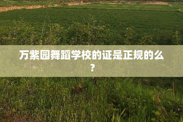 万紫园舞蹈学校的证是正规的么？