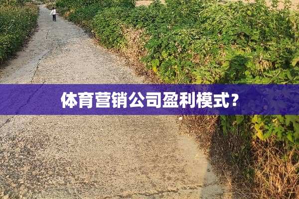 体育营销公司盈利模式？