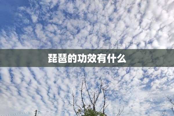 琵琶的功效有什么