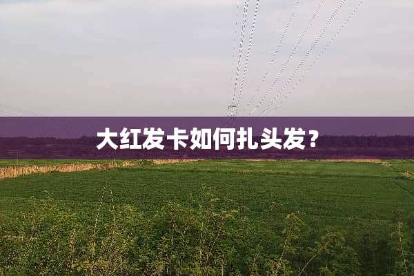大红发卡如何扎头发？