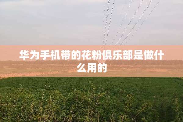 华为手机带的花粉俱乐部是做什么用的