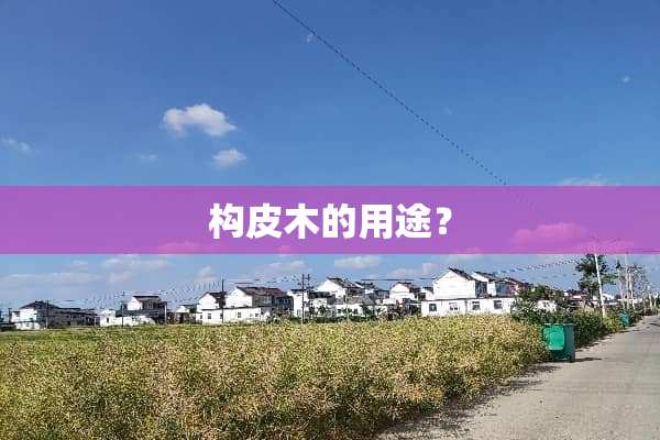 构皮木的用途？