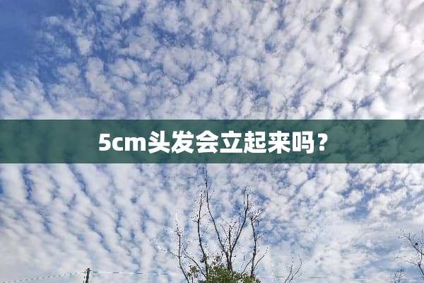 5cm头发会立起来吗？