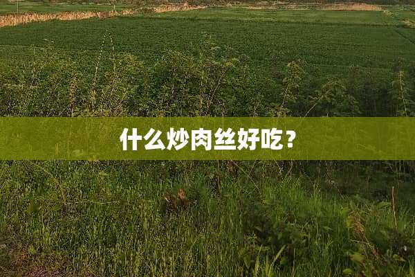 什么炒**好吃？