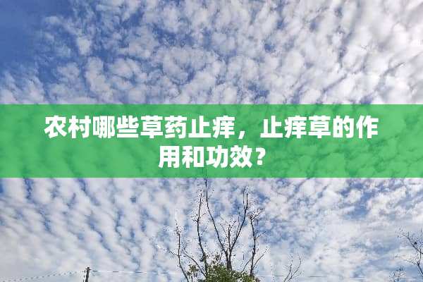 农村哪些草药止痒，止痒草的作用和功效？