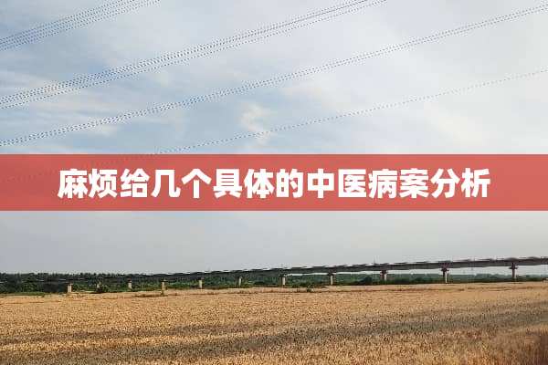麻烦给几个具体的中医病案分析