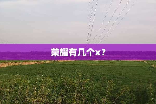 荣耀有几个x？