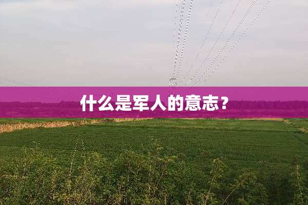 什么是军人的意志？
