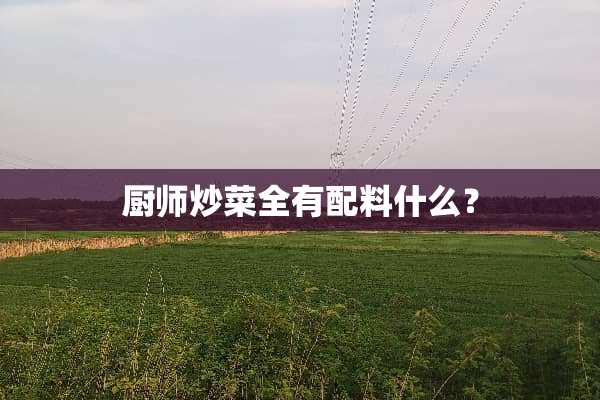 厨师炒菜全有配料什么？
