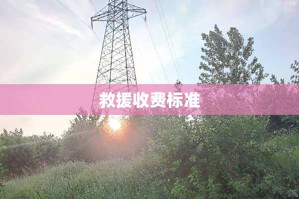 救援收费标准