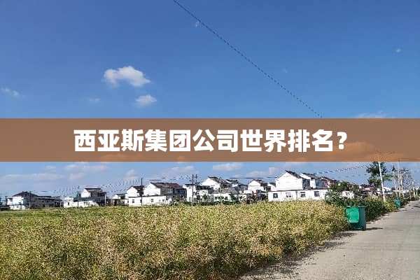 西亚斯集团公司世界排名？