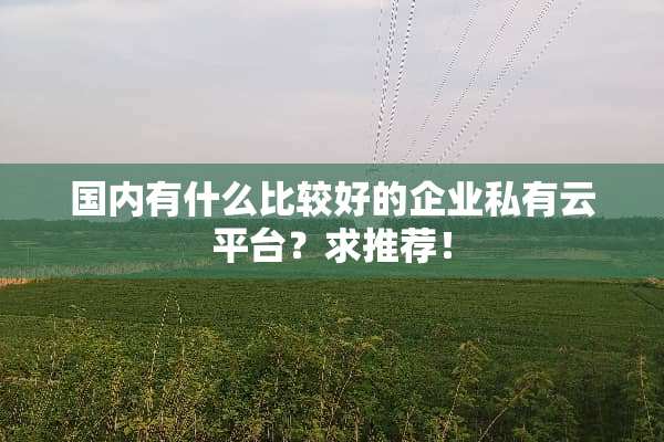 国内有什么比较好的企业私有云平台？求推荐！