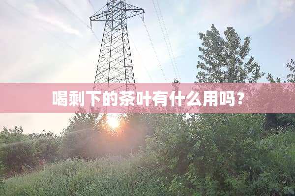 喝剩下的茶叶有什么用吗？