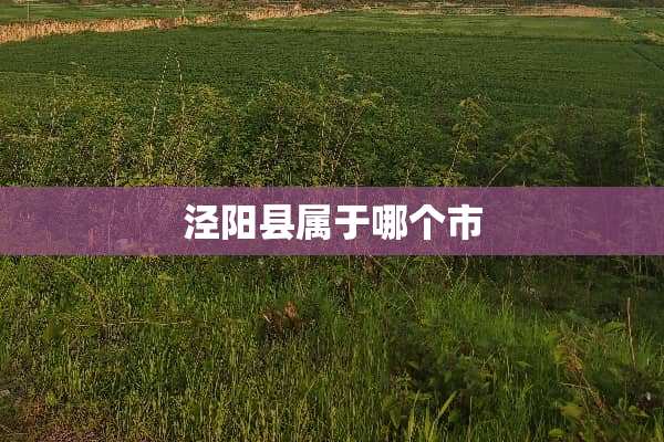 泾阳县属于哪个市