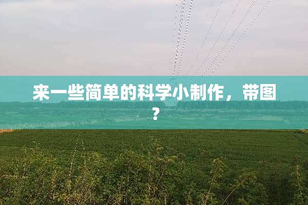 来一些简单的科学小制作，带图？