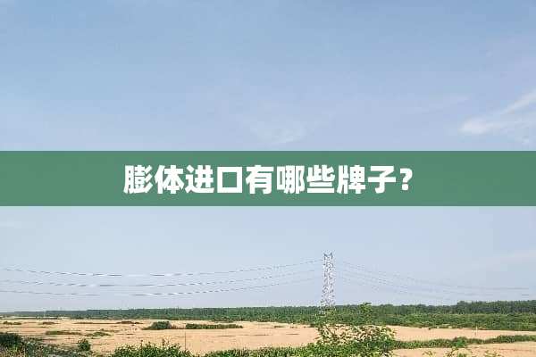 膨体进口有哪些牌子？