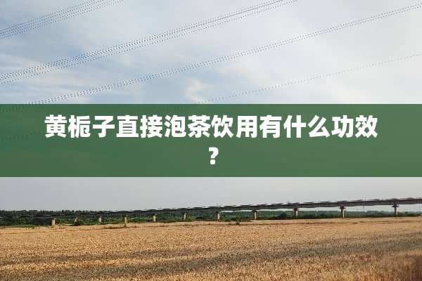 黄栀子直接泡茶饮用有什么功效？