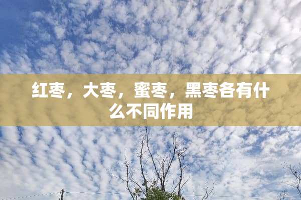 红枣，大枣，蜜枣，黑枣各有什么不同作用