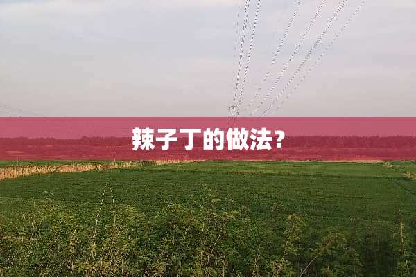 辣子丁的做法？