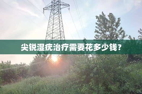 尖锐湿疣治疗需要花多少钱？