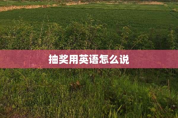 抽奖用英语怎么说
