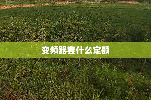 变频器套什么定额