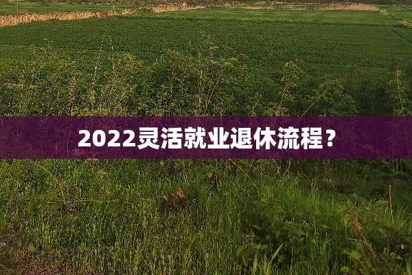 2022灵活就业退休流程？